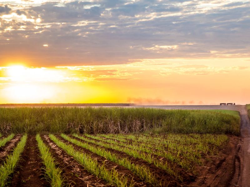 Продовольственные товары