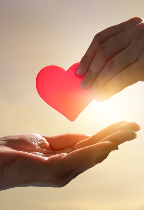 Пожертвования продовольствия