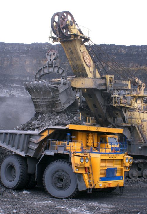 Coal